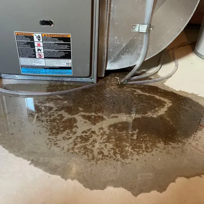 Appliance Leak Cleanup in Miramar Beach, FL